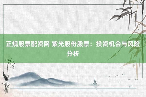 正规股票配资网 紫光股份股票：投资机会与风险分析