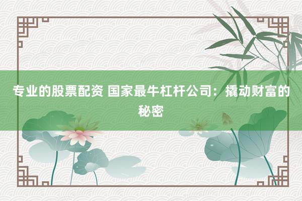 专业的股票配资 国家最牛杠杆公司：撬动财富的秘密