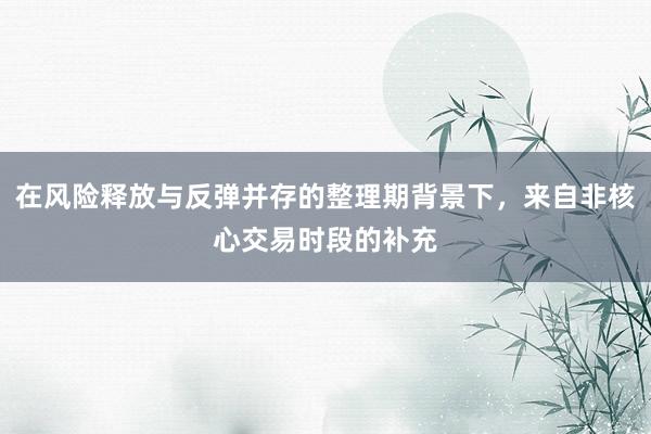 在风险释放与反弹并存的整理期背景下，来自非核心交易时段的补充