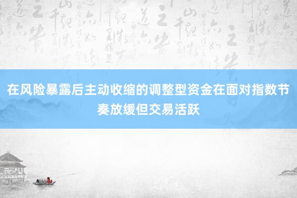 在风险暴露后主动收缩的调整型资金在面对指数节奏放缓但交易活跃