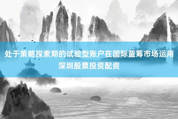 处于策略探索期的试验型账户在国际蓝筹市场运用深圳股票投资配资