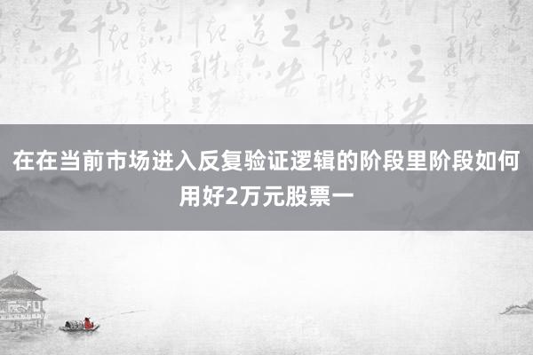 在在当前市场进入反复验证逻辑的阶段里阶段如何用好2万元股票一