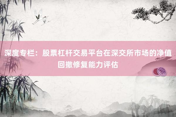 深度专栏：股票杠杆交易平台在深交所市场的净值回撤修复能力评估