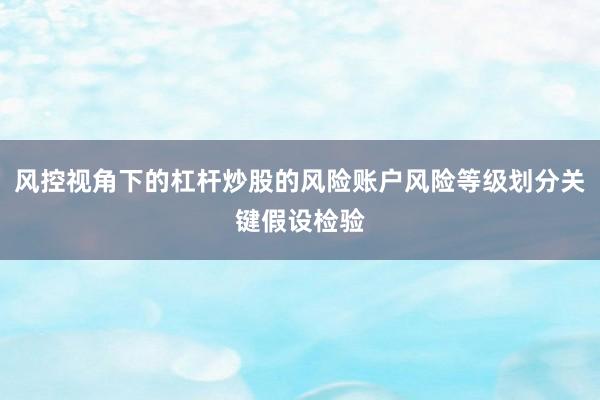 风控视角下的杠杆炒股的风险账户风险等级划分关键假设检验