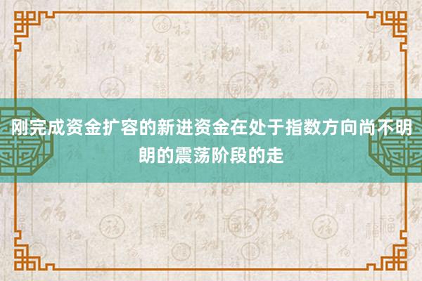 刚完成资金扩容的新进资金在处于指数方向尚不明朗的震荡阶段的走