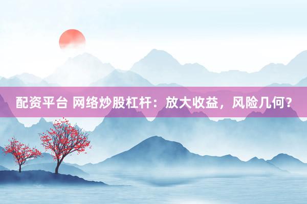 配资平台 网络炒股杠杆：放大收益，风险几何？