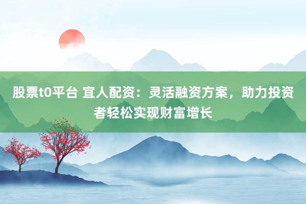 股票t0平台 宜人配资：灵活融资方案，助力投资者轻松实现财富增长